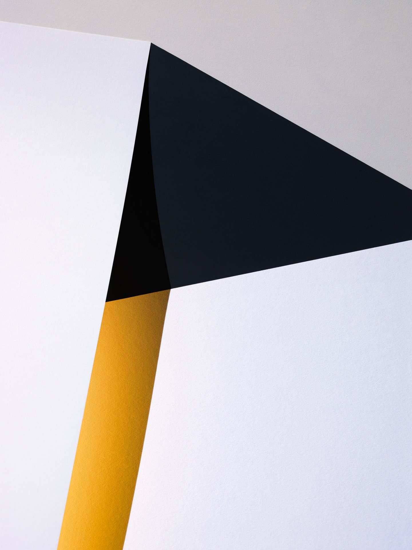 Carl Kleiner