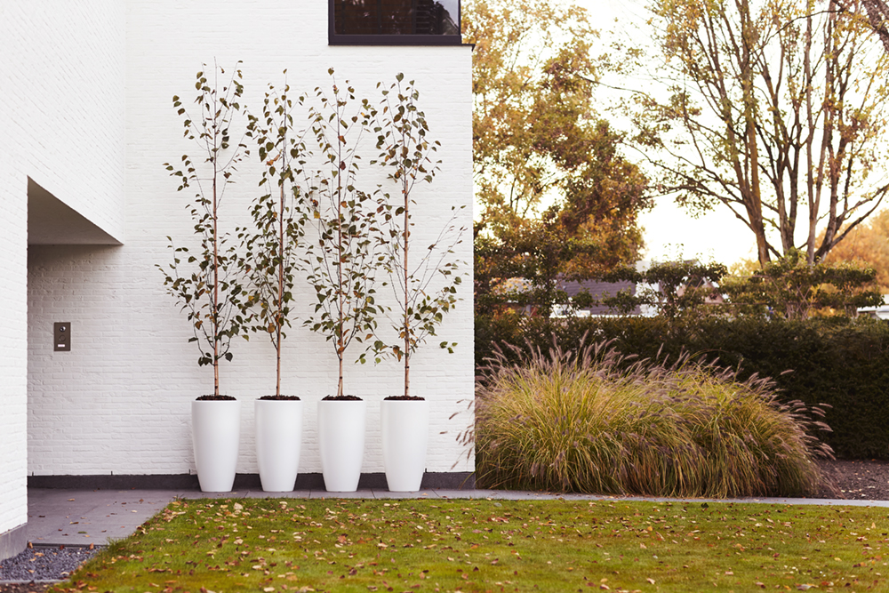 pure-styling-elho-wwdlm-sep-okt-16