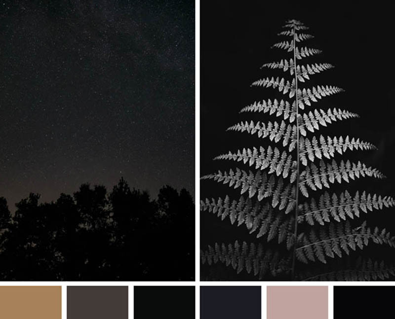tica trend nieuwsbrief foto dark spark