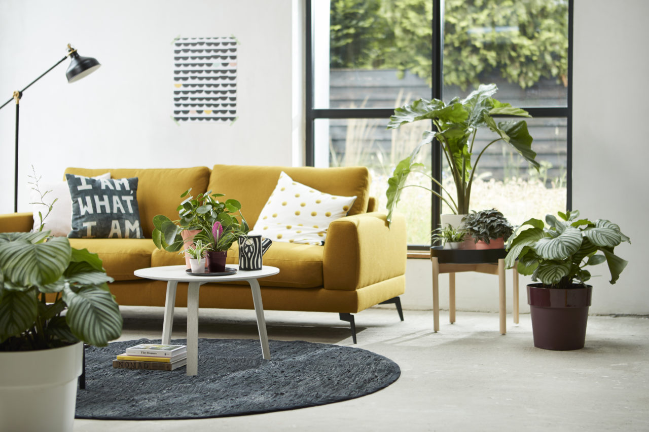 pure styling wwdlm may june 2018 00