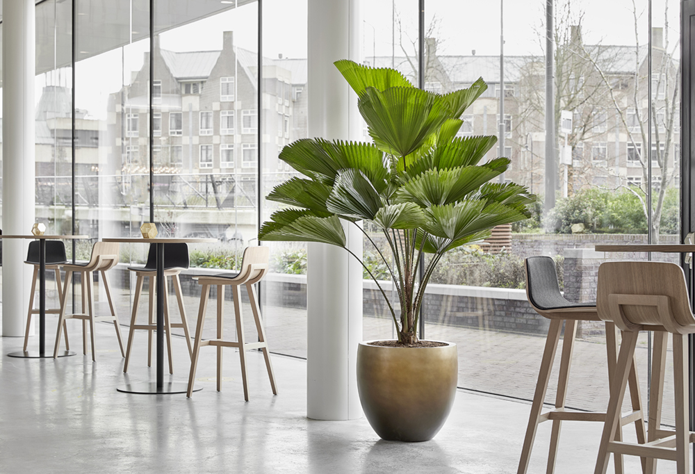 PURE styling fotostyling voor baq 03