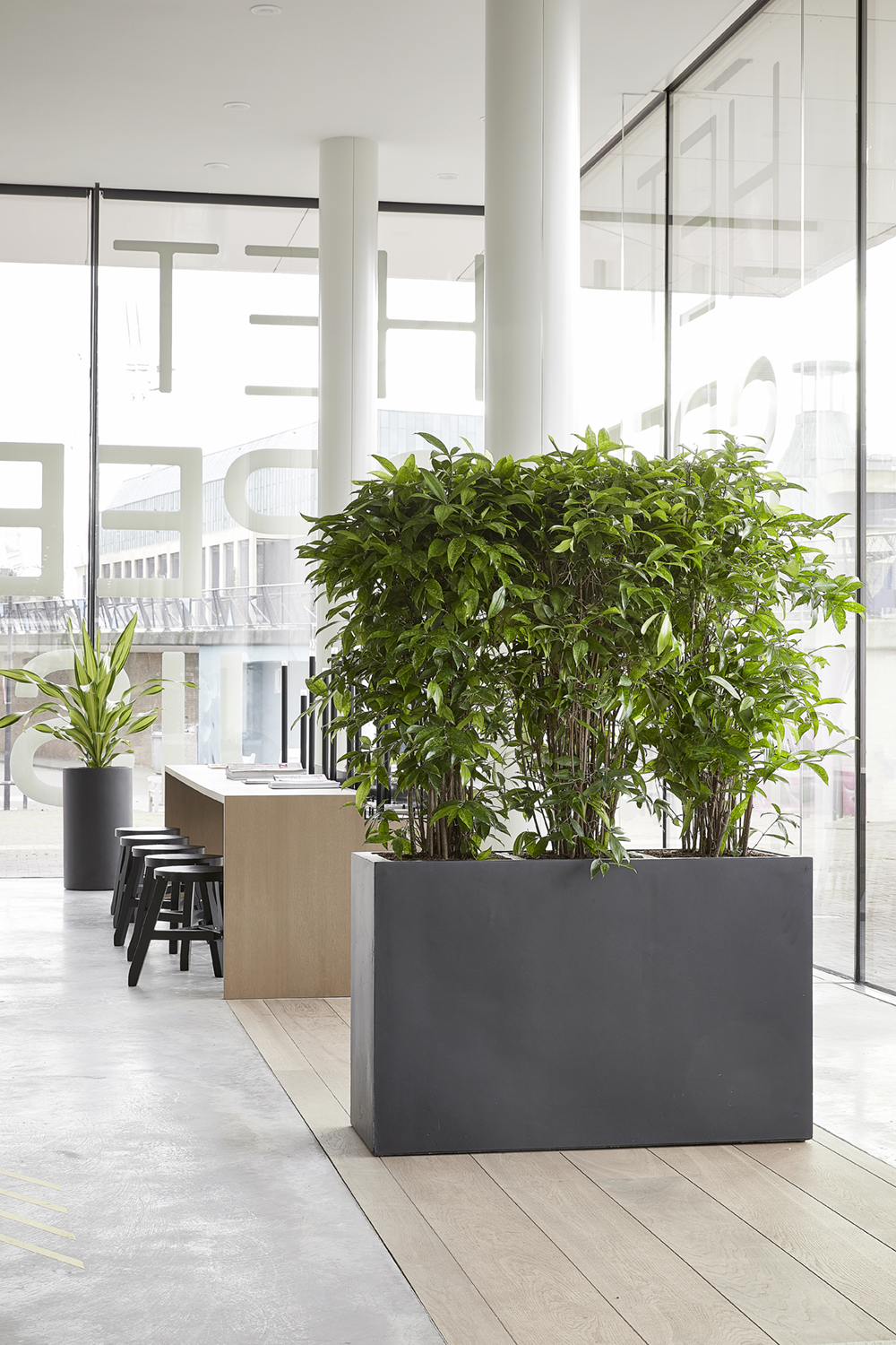 PURE styling fotostyling voor baq 04