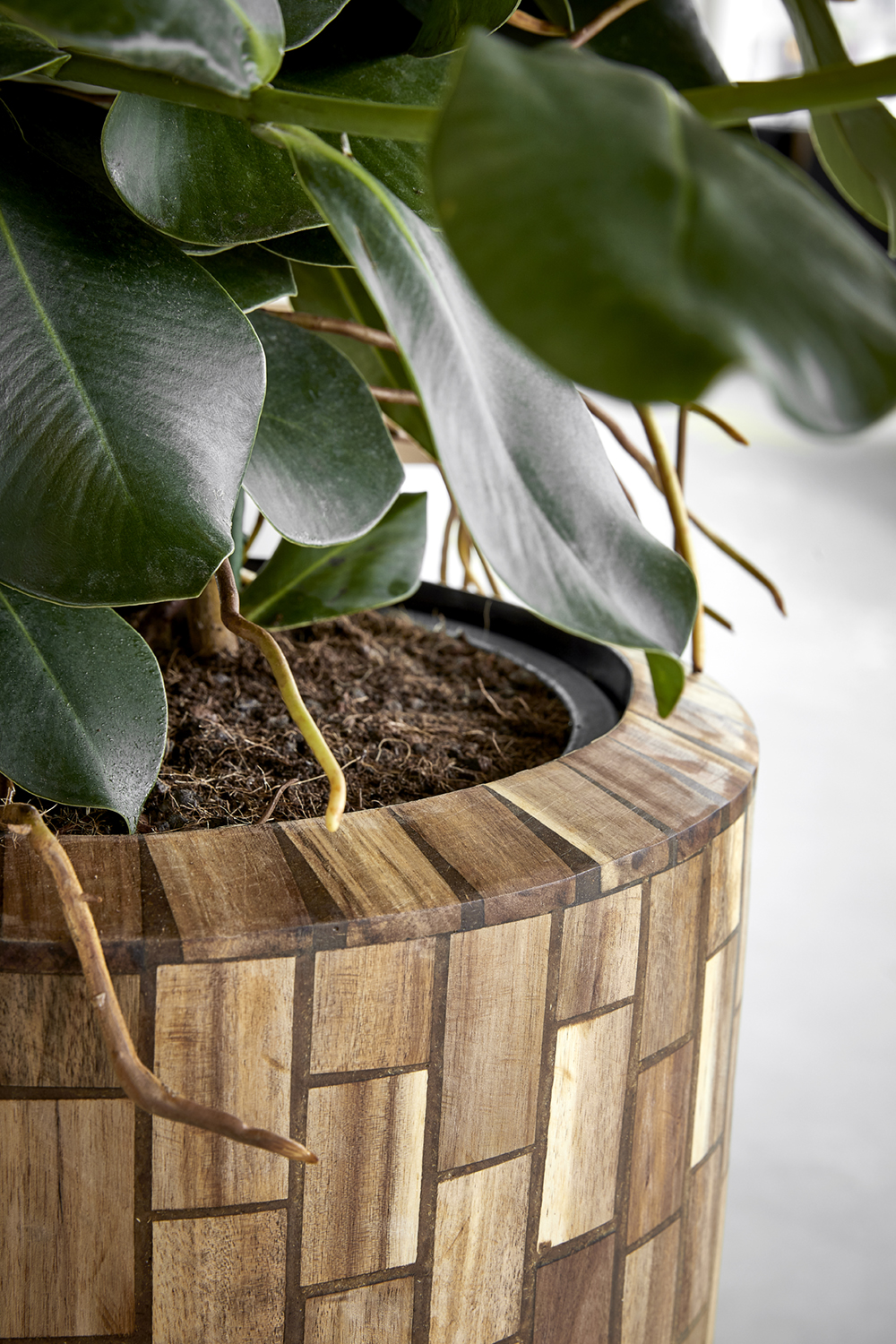 PURE styling fotostyling voor baq 08