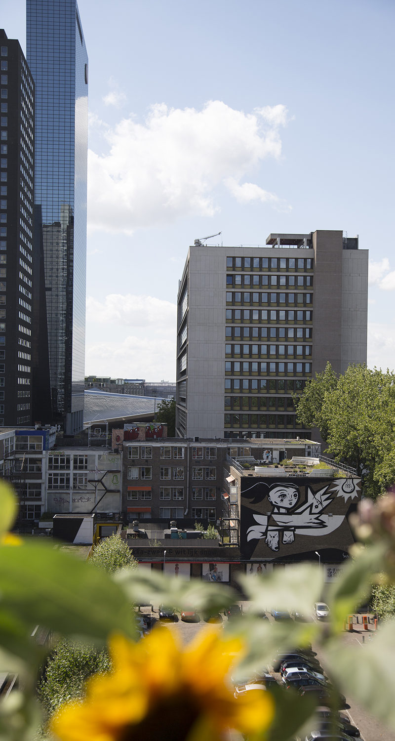 op het dak