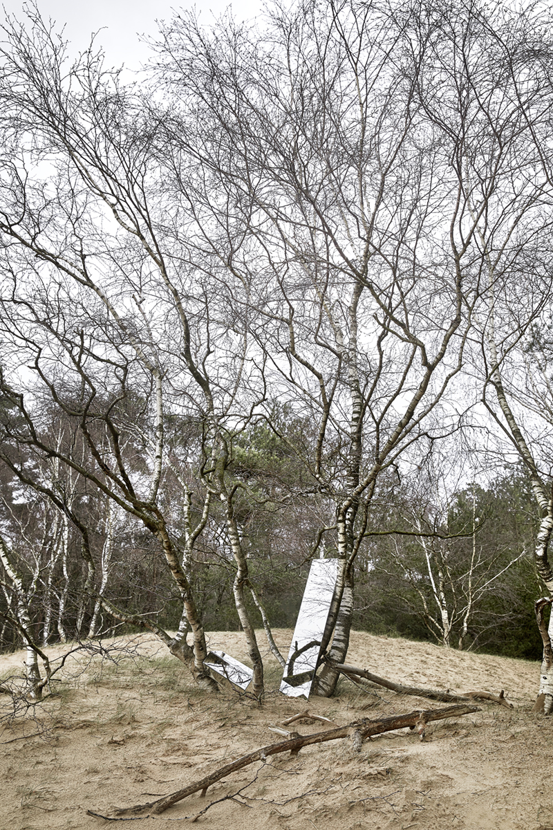 refelcting nature 01
