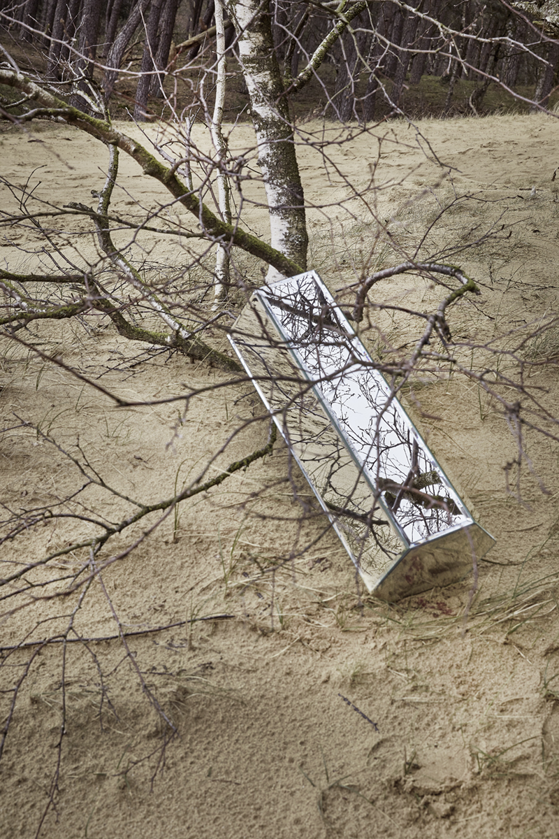refelcting nature 02