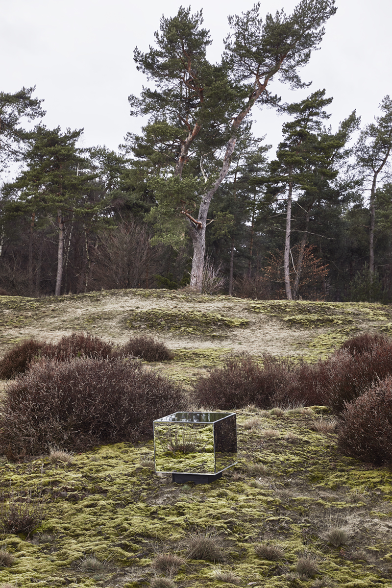 refelcting nature 03