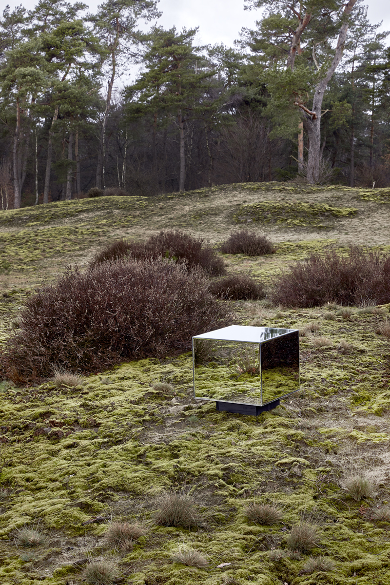 refelcting nature 04