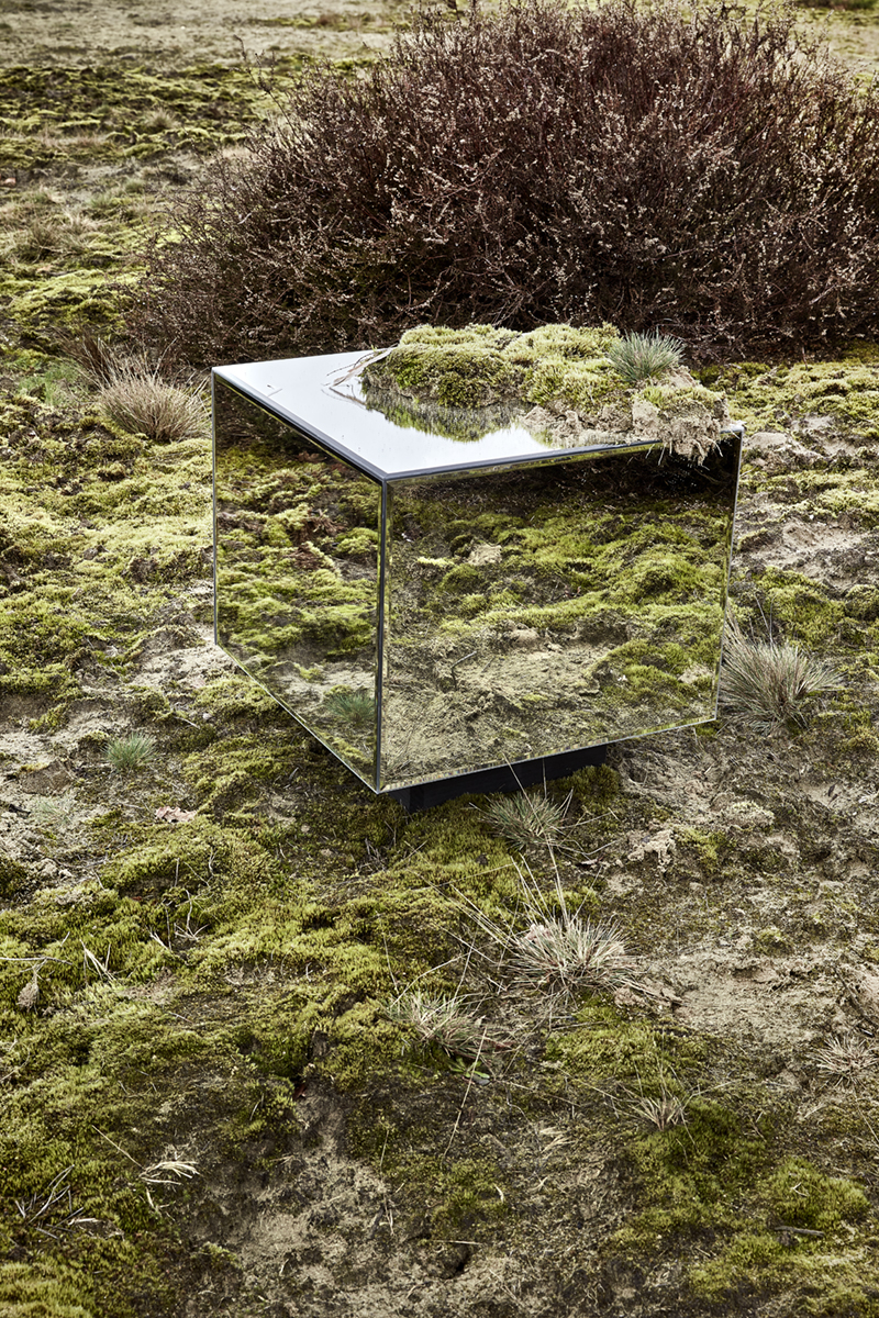 refelcting nature 05
