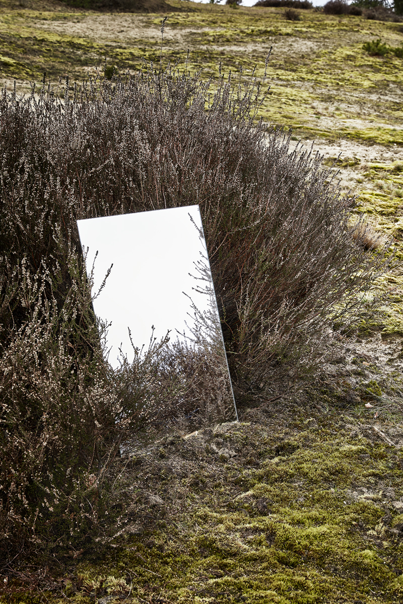 refelcting nature 06