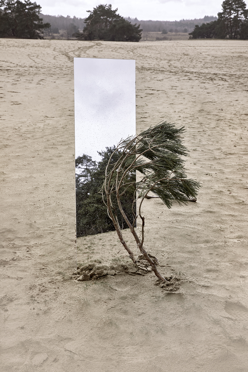 refelcting nature 07