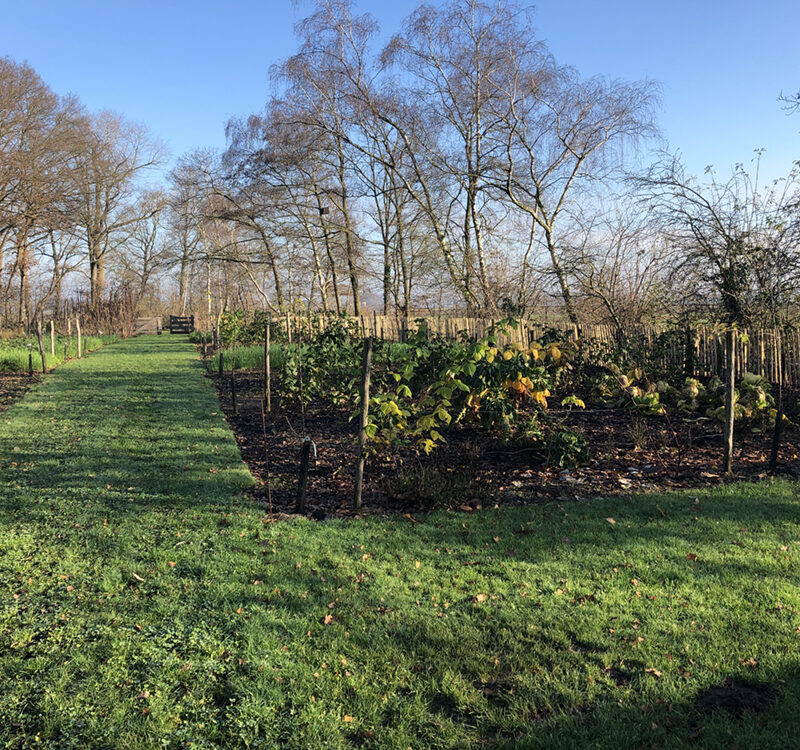 voedselbos Onder de Linde